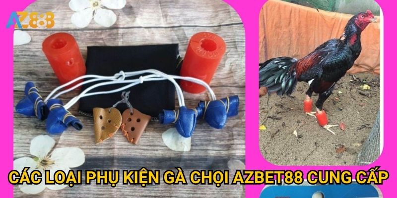 Phụ kiện gà chọi Azbet88 có đủ cho dân chơi chuyên nghiệp? 2 Các loại phụ kiện gà chọi Azbet88 cung cấp